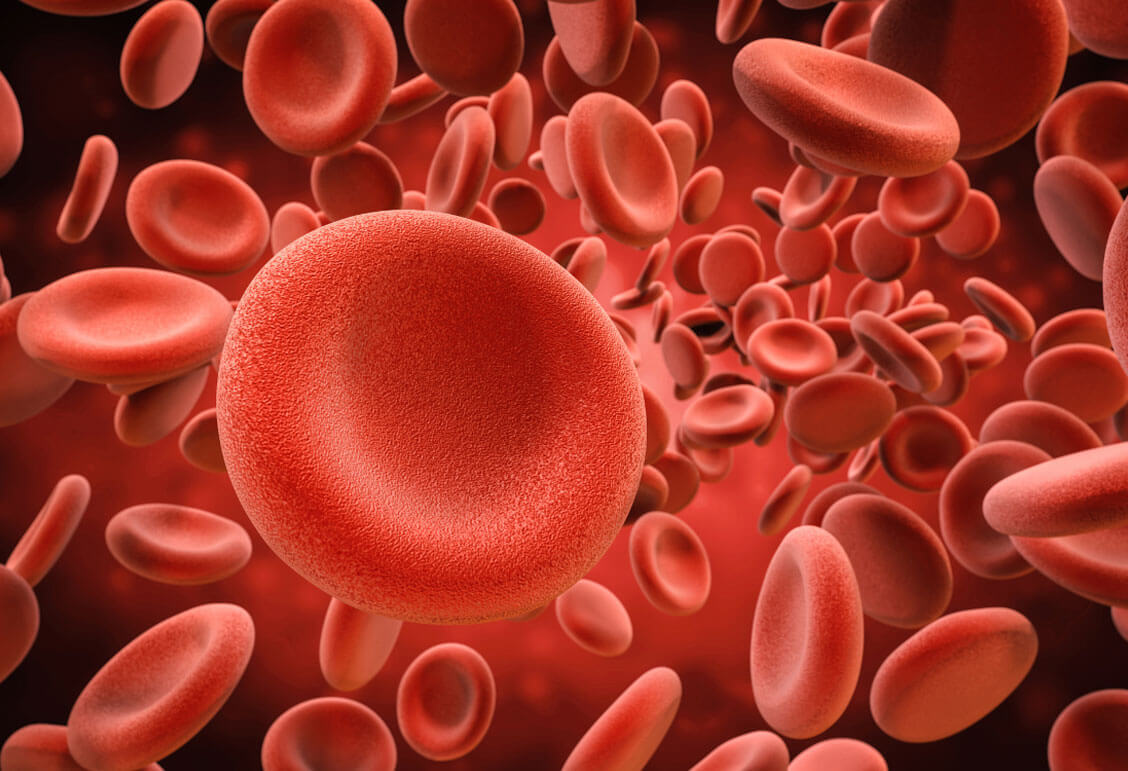 Was ist HPU? HPU Kinder Symptome Hämopyrrollaktamurie